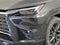 2026 Lexus TX 350 Luxury