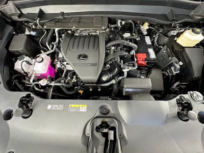 2026 Lexus TX 350 Luxury