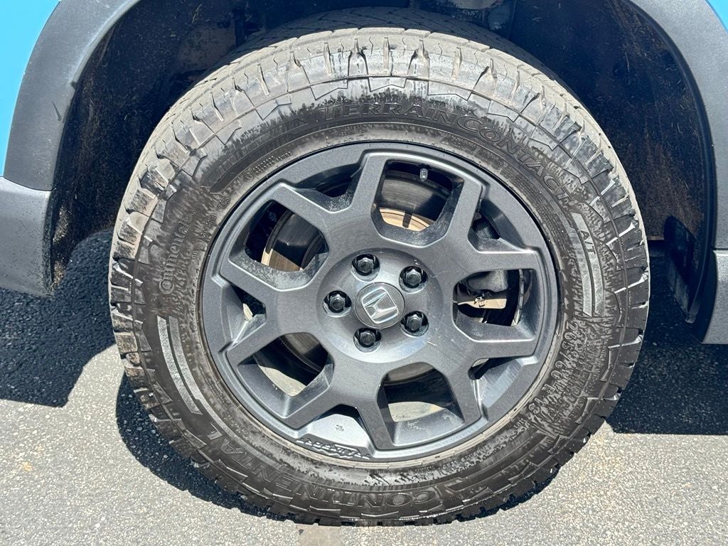 2023 Honda Pilot TrailSport