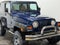 2001 Jeep Wrangler SE