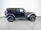 2023 Jeep Wrangler High Tide w/ ALPINE PREMIUM AUDIO