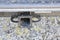 2025 Chevrolet Express 3500 Work Van Cargo