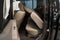 2021 Nissan Frontier SV 4WD CREW CAB