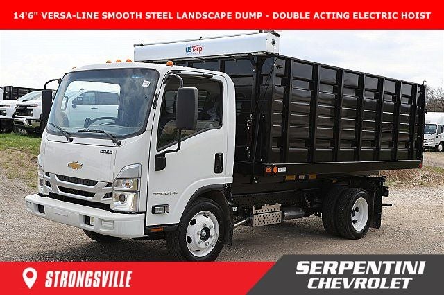2025 Chevrolet 5500 HG LCF Gas Work Truck