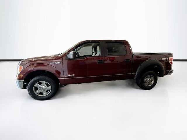 2010 Ford F-150 XLT
