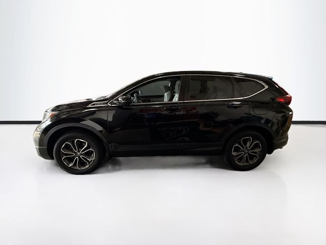 2020 Honda CR-V EX-L AWD W/ BLIND SPOT ALERT + SUNROOF