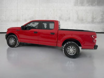 2019 Ford F-150 XL 4WD