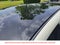 2024 Nissan Leaf SV Plus