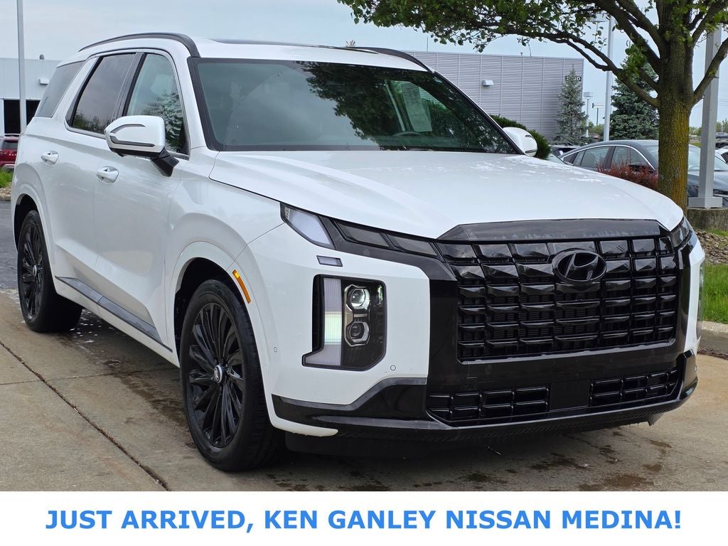 2024 Hyundai Palisade Calligraphy Night Edition AWD's photo
