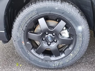 2025 Subaru Outback Wilderness