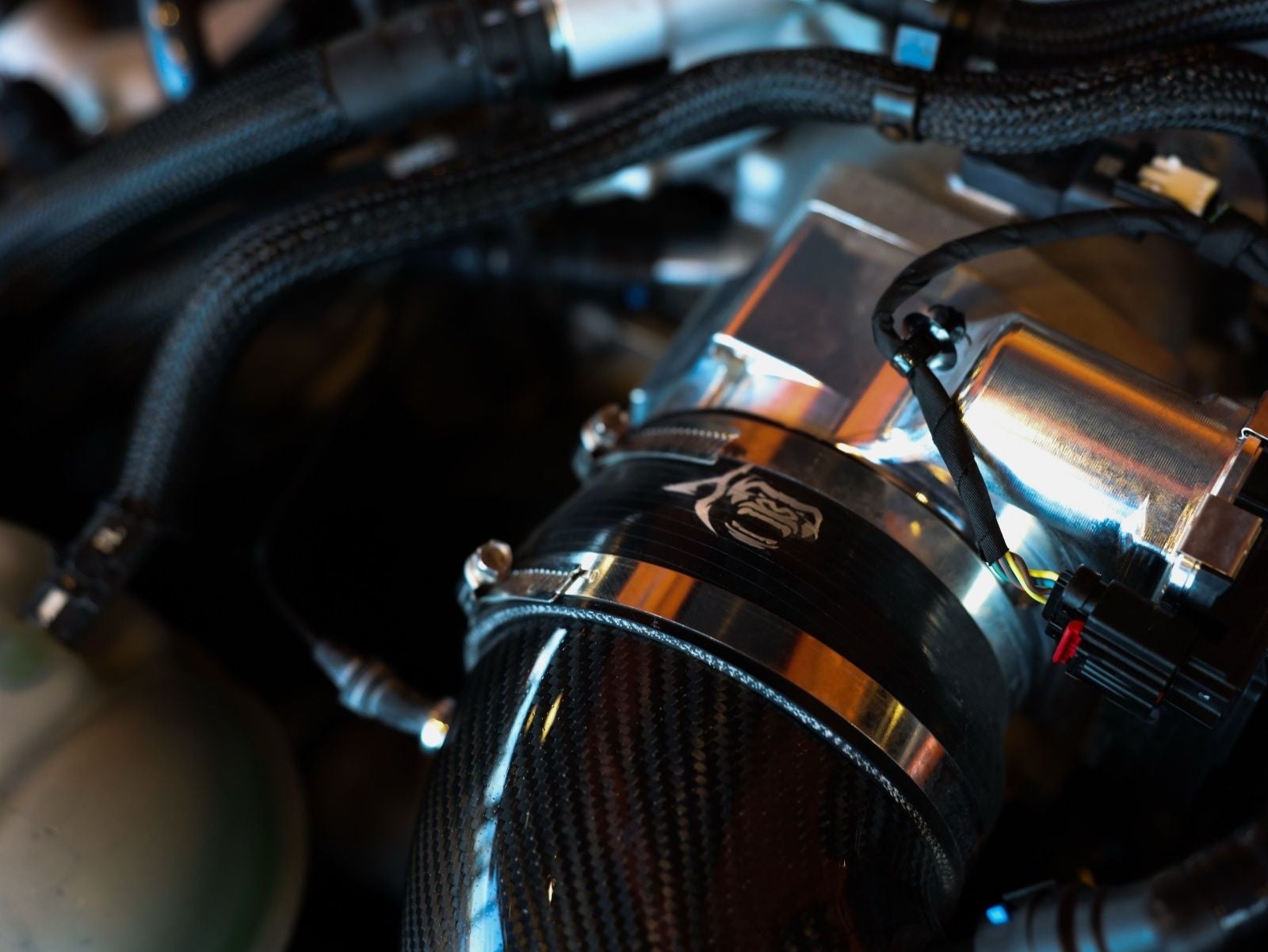2021 Ford Mustang Shelby GT500