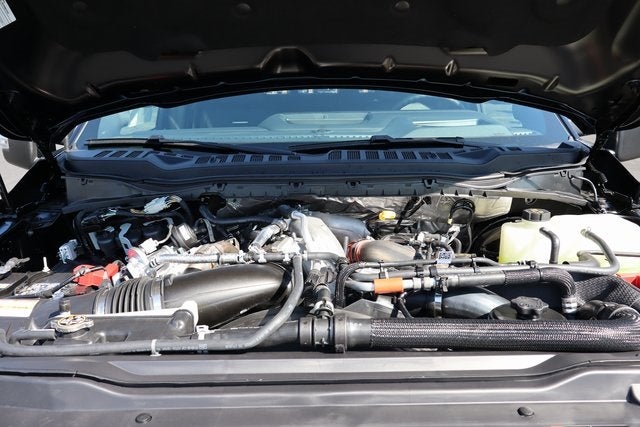 2026 Ford F-250SD Platinum Tremor Off-Road