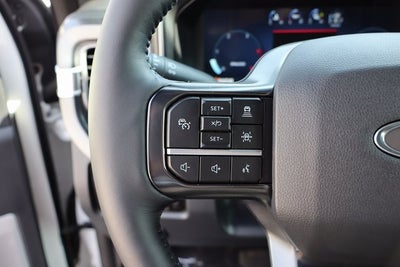 2025 Ford F-350SD Platinum DRW