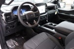 2025 Ford F-150 STX LOBO