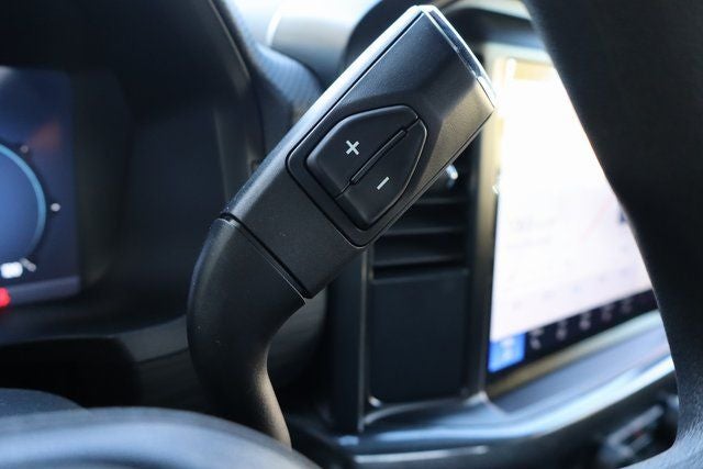 2025 Ford F-150 STX Black Widow Edition