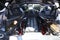 2020 Chevrolet Corvette Stingray 3LT