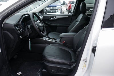 2026 Ford Escape Hybrid Platinum