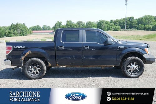 2013 Ford F-150 FX4