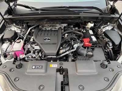 2025 Lexus NX 350 Base