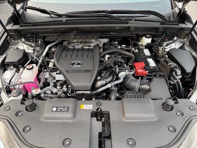 2025 Lexus NX 350 Base