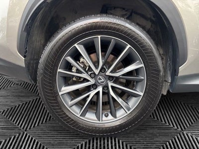 2025 Lexus NX 350 Base