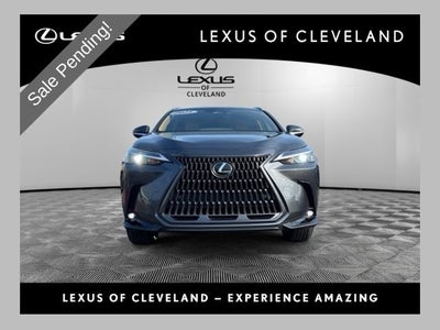 2025 Lexus NX 350 Base