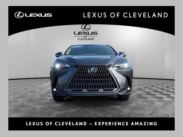 2025 Lexus NX 350 Base