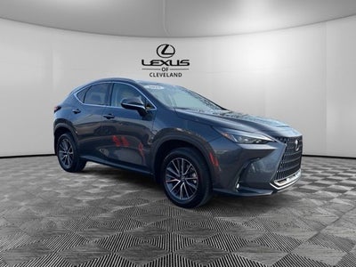 2025 Lexus NX 350 Base