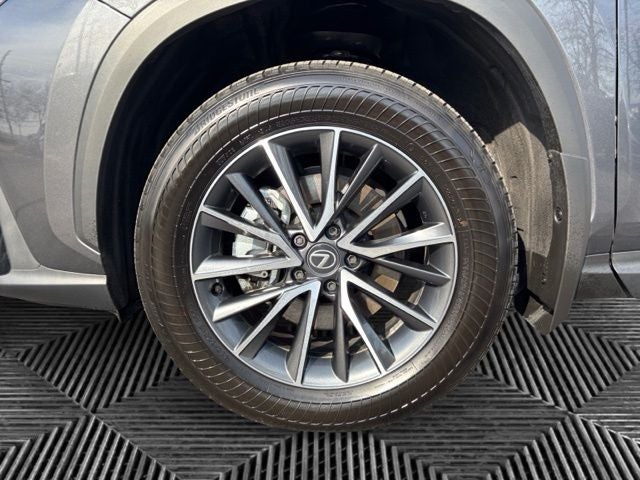 2025 Lexus NX 350 Base