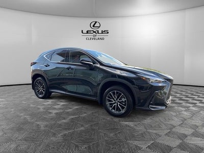 2025 Lexus NX 350 Base