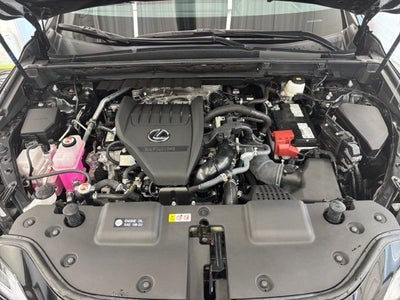 2025 Lexus NX 350 Base