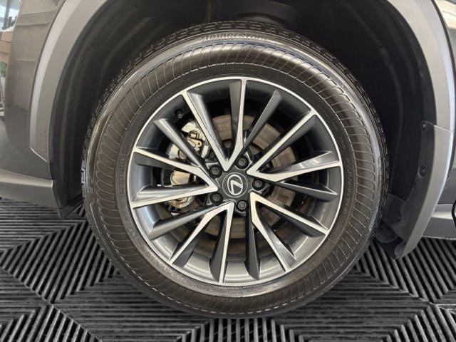 2025 Lexus NX 350 Base
