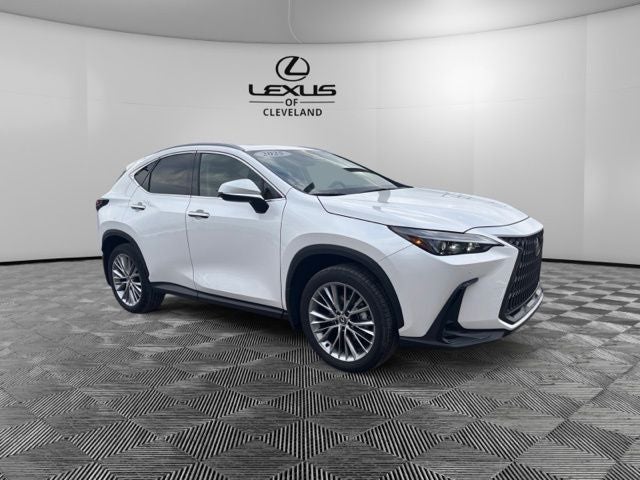 2025 Lexus NX 350 Premium
