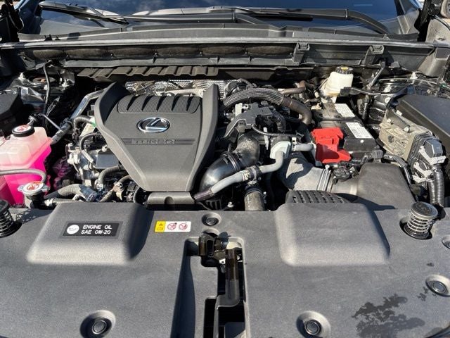 2023 Lexus NX 350 Luxury