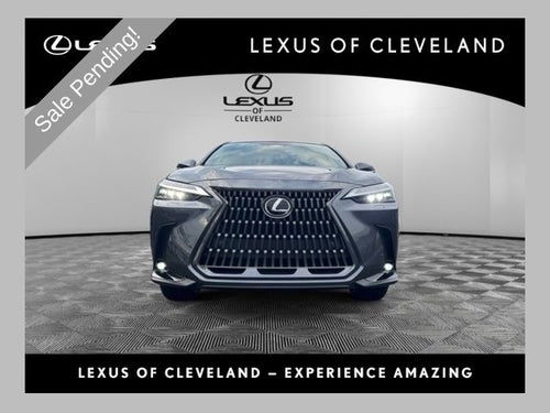 2024 Lexus NX 350 Luxury