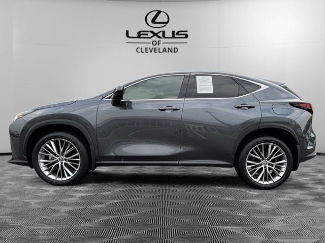 2024 Lexus NX 350 Luxury