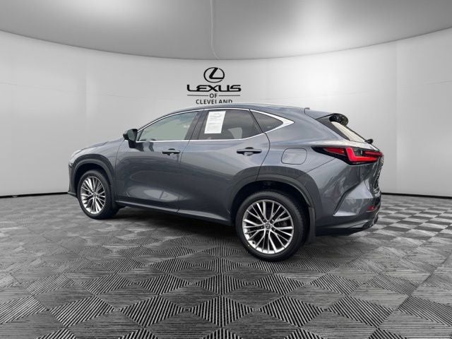 2024 Lexus NX 350 Luxury
