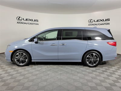 2024 Honda Odyssey Elite