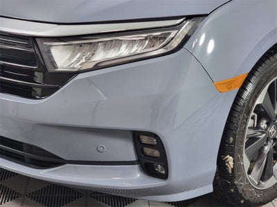2024 Honda Odyssey Elite