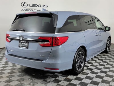 2024 Honda Odyssey Elite